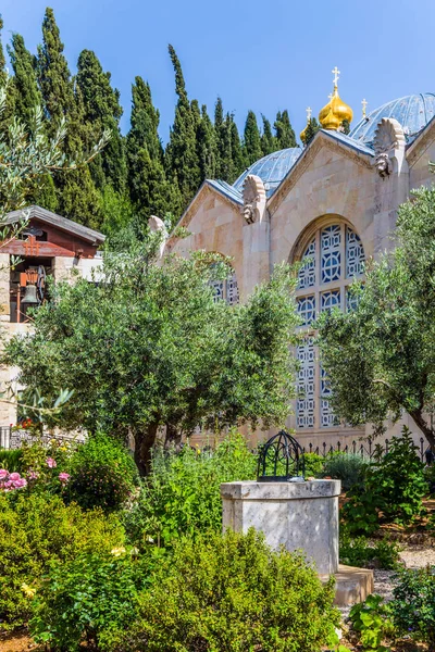 Γεθσημανή Κήπος Αιώνια Ιερουσαλήμ Εκκλησία Όλων Των Εθνών Φραγκισκανή Καθολική — Φωτογραφία Αρχείου