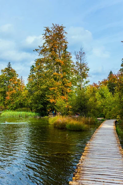 Plitvice Lakes Στην Κροατία Μια Ηλιόλουστη Μέρα Ξύλινο Δάπεδο Για — Φωτογραφία Αρχείου