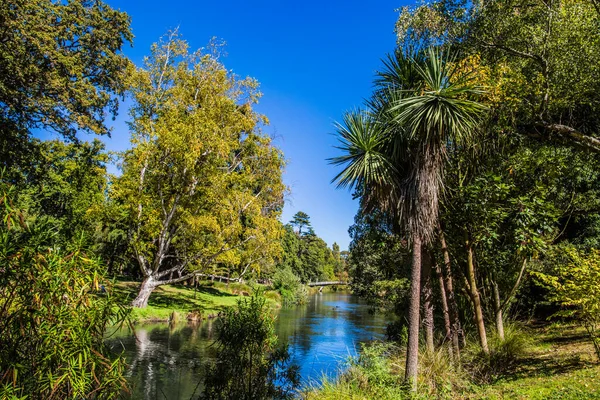 Dość Spokojna Rzeka Przepływa Przez Park Christchurch Malowniczy Ogród Botaniczny — Zdjęcie stockowe