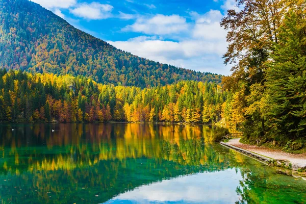 Scenic Reflecties Van Veelkleurige Bossen Het Gladde Water Van Het — Stockfoto