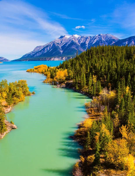 Emerald Water Abraham Lake Surrounded Evergreen Coniferous Forests Golden Autumn — Stock Photo, Image