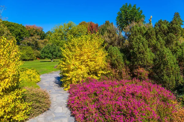 Ścieżka Wiedzie Przez Kolorowe Krzewy Kwitnące Drzewa Malowniczy Park Miejski — Zdjęcie stockowe
