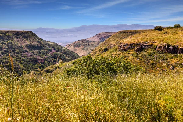 Páscoa Judaica Israel Férias Primavera Florescendo Golan Heights Planalto Montanha — Fotografia de Stock