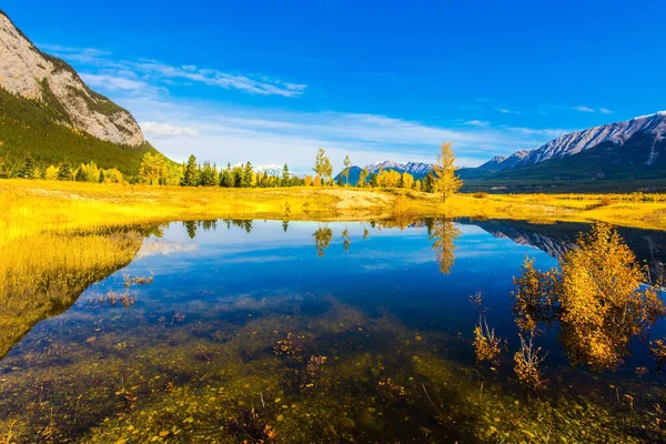 Kanada dağlarında sıcak Eylül ayı. Gölü kıyısında, çok renkli ormanlarda. Nefis Abraham Reservoir Gölü turkuaz suyla. Ekolojik ve aktif turizm kavramı