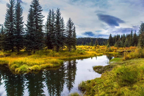 Tranquilo Lago Poco Profundo Rodeado Bosque Hierba Amarilla Otoño Rocky — Foto de Stock