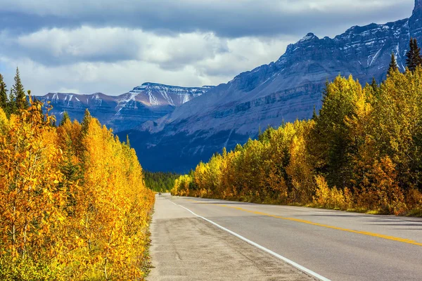Foglie Gialle Arancioni Adornano Paesaggio Montano Eccellente Autostrada Attraversa Montagne — Foto Stock