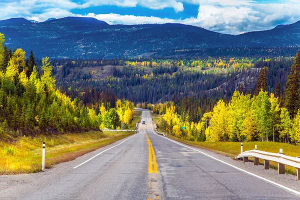 Karayolu 40 Bighorn. Güzel asfalt karayolu mesafeye gidiyor. Kuzey Kayalıkları - Cordillera 'nın ana sıradağları. Kanada mı? Ekolojik, otomobil ve fotoğraf turizmi kavramı
