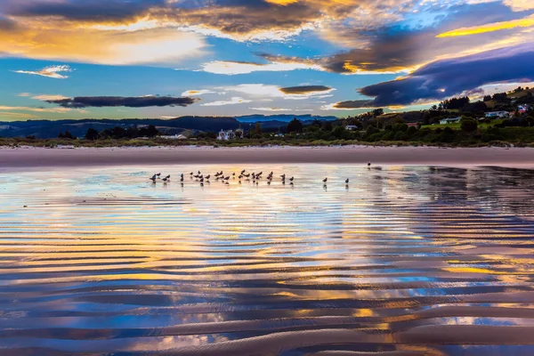 Nieuw Zeeland South Island Stille Oceaan Avondschemering Rustig Leeg Strand — Stockfoto