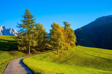 İtalya. Görkemli Dolomitler. Yeşil vadiyi çevreleyen güçlü dağ zirveleri Val di Funes 'u çevrelemektedir. Vadideki manzaralı dar toprak yol. Aktif, ekolojik ve fotoğraf turizmi kavramı 