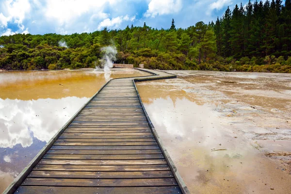 Nya Zeeland Nordön Trä Gångvägar För Turister Som Lagts Genom — Stockfoto