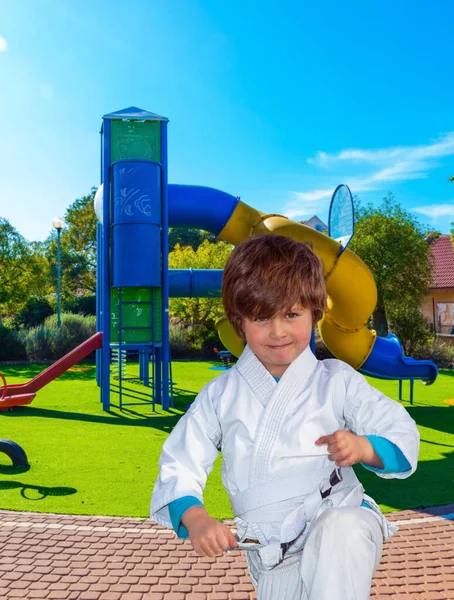 Cosy children \'s playground with a variety of multicolored attractions. Handsome boy in a white kimono practices judo. The concept of physical and mental development of children