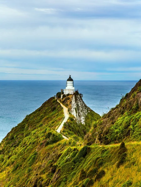 Nugget Point Deniz Feneri, Nugget Burnu 'nda. Güney Adası, Yeni Zelanda. Pasifik Okyanusu 'nun pitoresk sahili. Aktif, çevresel ve fotoğraf turizmi kavramı