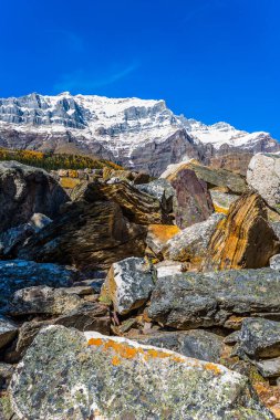 Moraine Gölü 'nün etrafındaki resimli taşlı kıyı. Alberta ili, Kanada Kayalıkları. Ekolojik, fotografik ve aktif turizm kavramı