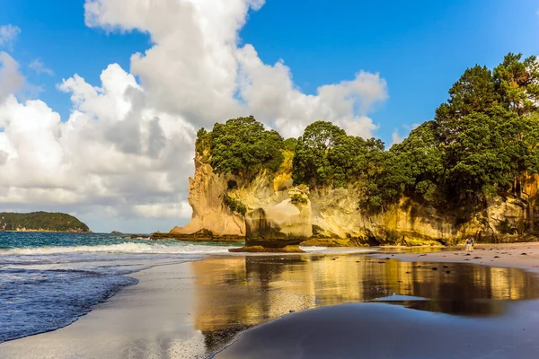 Nouvelle Zélande Île Nord Beauté Magique Est Une Petite Plage — Photo