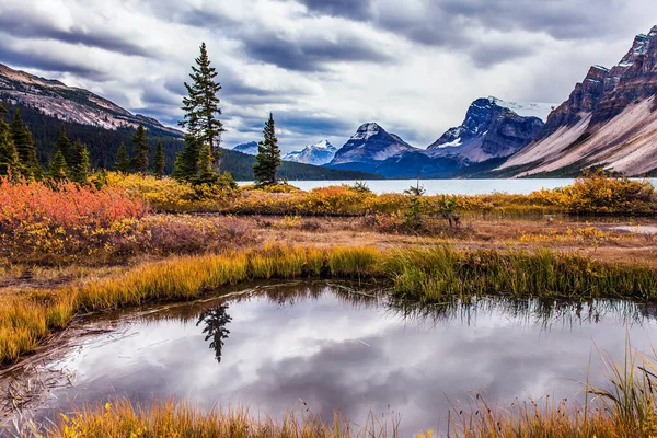 加拿大的落基山脉弓湖岸边的红 橙三色的秋草 小而风景如画的水坑反映了多云的天空 环境和摄影旅游的概念 — 图库照片