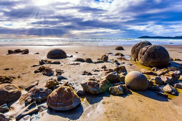 Atração Turística Popular Pedra Redonda Enorme Pedregulhos Moeraki Seus Restos — Fotografia de Stock