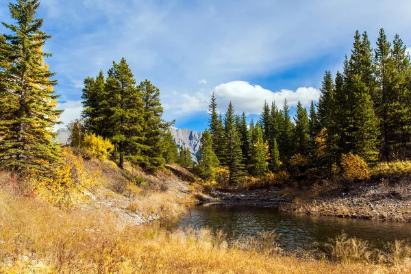 明媚的秋日在印度的夏天 淡淡的湖水 秋天的叶子呈黄色 卡纳纳斯基斯山脉公园的山谷 加拿大落基山脉积极 生态和摄影旅游的概念 — 图库照片