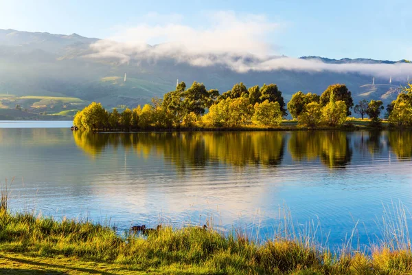 오리떼는 물에서 헤엄쳐 다닌다 퀸스타운으로 거대하고 호수입니다 뉴질랜드의 활동적 생태학적 — 스톡 사진