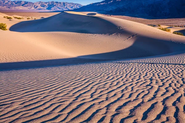 神奇的沙漠清晨死亡谷的中间平坦的沙丘 美国加州容易接近的沙丘位于190号公路沿线 极端和摄影旅游的概念 — 图库照片
