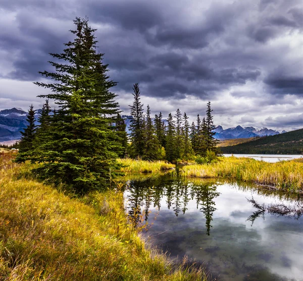 Rocky Mountains of Canada. Scenic clouds and slender spruce reflected in shallow lake. The valley along the Pocahontas road. Concept of active and photo-tourism