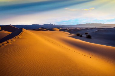  Mesquite Düz Kum Tepeleri - Ölüm Vadisi 'ndeki kum tepeleri. Sabah. Kum, ışık dalgalarında yatıyor. Kum tepesi boyunca görülebilen insan ayak izleri. Ekstrem ve fotoğraf turizmi kavramı