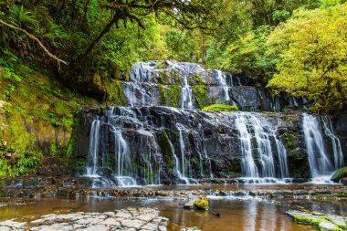 Purakaunui Şelalesi. Yeni Zelanda. Yeşil ormanın içinde çok katmanlı resim çağlayan şelaleler. Aktif, çevresel ve fotoğraf turizmi kavramı