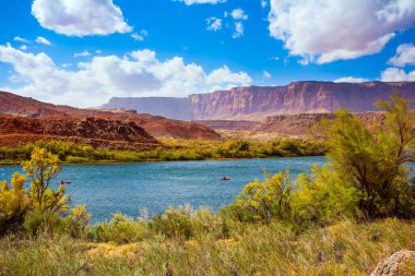 Muhteşem Colorado Nehri ve kızıl kumtaşından dik kıyılar. Lee 'nin Feribotu tarihi bir feribottur. İnanılmaz vahşi yaşam. ABD. Aktif, aşırı ve fotoğraf turizmi kavramı