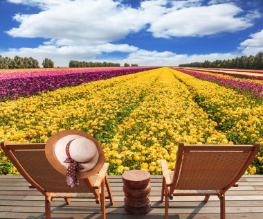 Katlanan ahşap sandalyeler - güverte sandalyeleri ve tarlanın kenarında dinlenmek için küçük bir masa. Sandalyenin arkasına asılmış zarif saman kadın şapkası. Düğünçiçeği tarlaları 