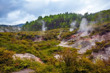 Cehennem Krateri Gölü büyük bir kaplıcadır. Waimangu Volkanik Yarık Vadisi. Kuzey Adası, Yeni Zelanda. Rotorua 'nın jeotermal bölgesi. Egzotik, ekolojik ve fotoğraf turizmi kavramı
