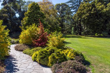Çiçek tarlaları olan güzel bir çayır, güneşle aydınlatılmış. Christchurch Sahnesi Botanik Bahçesi. Yeni Zelanda, Güney Adası. Ekolojik ve fotoğraf turnuvası konsepti