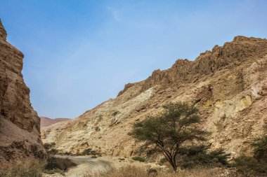 Judean Çölü. Kireçtaşından yapılmış eski dağların yıkıntıları. Kanyondan geçen toprak yol. İsrail. Ölü Deniz üzerindeki sisli kış günü