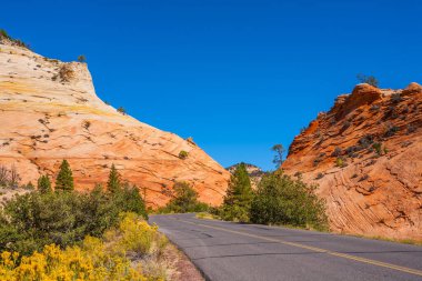 Zion Kanyonu 'nun dağları ve tepeleri arasında kırmızı asfalt yol. Güneşli güzel bir gün. Utah, ABD. Otomotiv, aktif ve fotoğraf turizmi kavramı