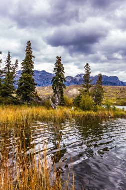 Kanada 'nın Rocky Dağları. Soğuk rüzgar gölde bir ışık dalgasını yönlendirir. Pocahontas yolu boyunca uzanan vadi. Ekolojik, aktif ve fotoğraf turizmi kavramı