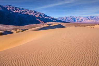 Kolayca ulaşılabilen kum tepeleri 190. Yol boyunca yer almaktadır. Sihirli çöl sabahı. Mesquite Düz Kum Tepeleri - Ölüm Vadisi 'ndeki kum tepeleri. ABD, Kaliforniya. Ekstrem, aktif ve fotoğraf turizmi kavramı
