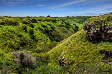  Bahar çiçekleri açan Golan Tepeleri volkanik kökenli bir dağ yaylası. Tatil günü. İsrail 'de Yahudi Paskalyası. Ekolojik, aktif ve fotoğraf turizmi kavramı