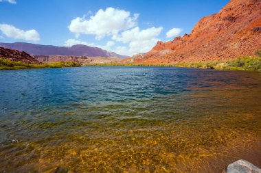 Lee 'nin Feribotu, Colorado Nehri' ni geçen tarihi bir feribot. Geniş nehir, akıntılar ve kırmızı kumtaşından dik kıyılar. İnanılmaz vahşi yaşam. ABD. Aktif, aşırı ve fotoğraf turizmi kavramı