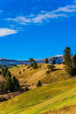 Alpe di Siusi, İtalya 'nın Dolomitler şehrinde bir platodur. Yürüme ve fotoğraf turizmi kavramı. Fotoğraf ve yürüyüş için güneşli bir gün. Resimli otlak tepeler