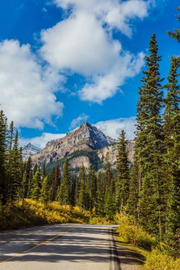 Kanada Kayalıklarında sonbahar günü. Mükemmel yollar Kanada Kayalıkları 'nı geçer. Gün batımı. Evergreen ormanı yol kenarında yetişir. Etkin, eko ve fotoğraf turizmi kavramı