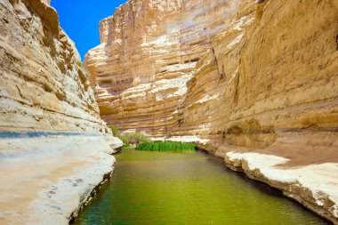 Ein Avdat kanyonu, Negev Çölü 'ndeki Qing Nehri tarafından kurulmuştur. Küçük bir gölün yeşilimsi ayna suyu. Kanyonun sarp duvarlarında birçok mağara var. İsrail