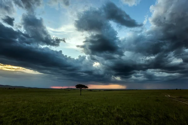 Scenic Sunset Rain Clouds Savannah Safari Tour Famous Kenyan Reserve — Stock Photo, Image
