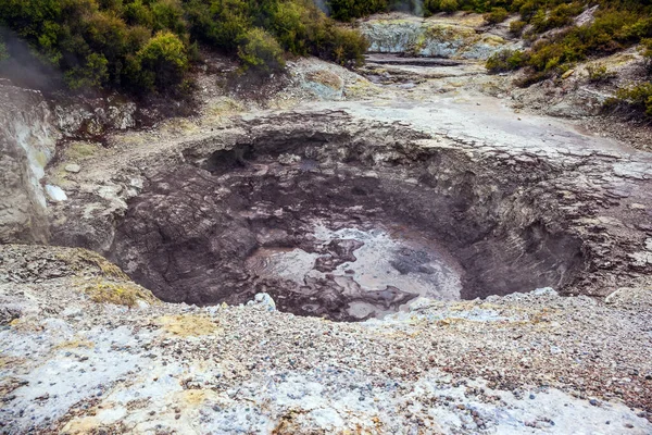 Zona Geotérmica Rotorua Waimangu Volcanic Rift Valley Lago Del Cráter —  Fotos de Stock