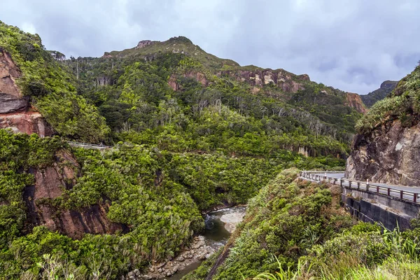 Pintoresco Camino Entre Verdes Colinas Pancake Rock Maravilla Natural Nueva — Foto de Stock