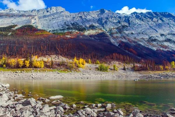 Great Autumn Day Rocky Shore Mountain Lake Medicine Canada Jasper — Stock Photo, Image