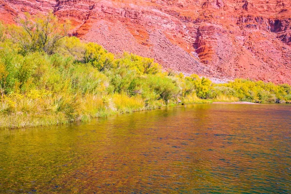 広い川と背の高い緑の草 赤い砂岩の険しい海岸 素晴らしい野生動物だ アメリカだ リーフェリーはコロラド川を渡る歴史的なボートフェリーです 極端な写真観光の概念 — ストック写真