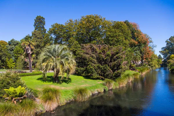 Verano Indio Nueva Zelanda Isla Sur Avenida Shady Largo Río — Foto de Stock