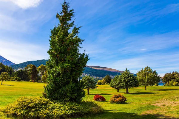 Mountains Meadows Groves Trip New Zealand South Island Surroundings City — Stock Photo, Image