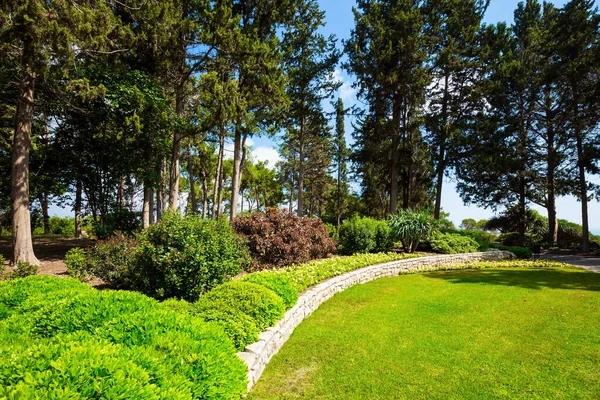 Padang Rumput Hijau Besar Tengah Tengah Taman Taman Botani Yang — Stok Foto