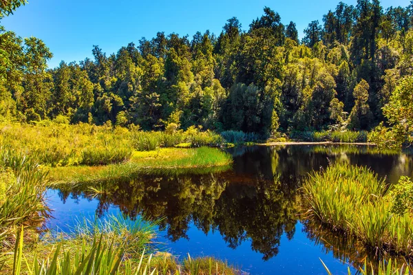 Resor Till Nya Zeeland Vattnets Släta Spegelyta Reflekterar Träd Och — Stockfoto