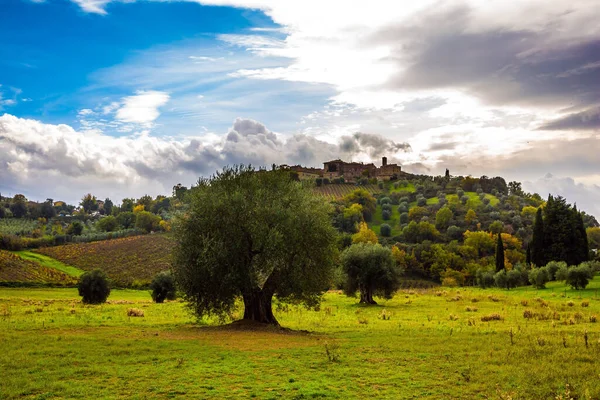 Landelijke Boerderijen Pittoreske Heuvels Van Toscane Olijfbomen Groene Graslanden Het — Stockfoto