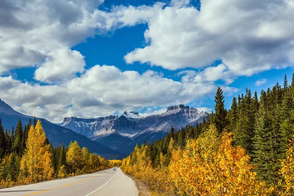 极好的公路穿过加拿大落基山脉 北秋黄橙相间的秋叶点缀了山水 环境和摄影旅游的概念 — 图库照片